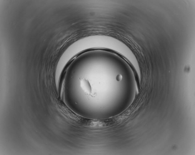 X0000096390376200801241308