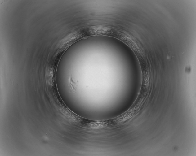 X0000096390378200801241308