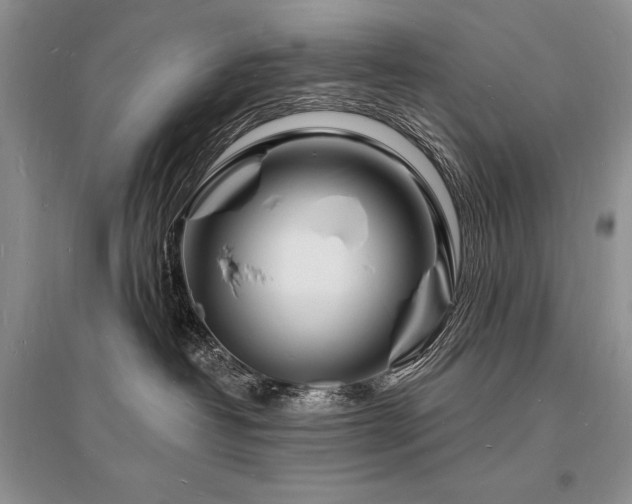 X0000096390382200801241308