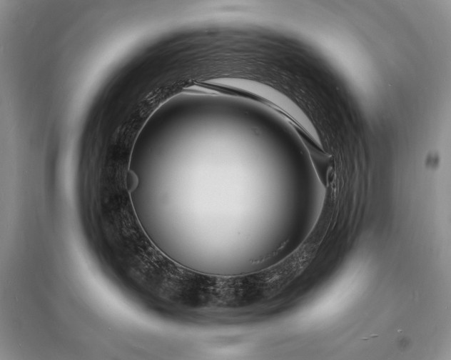 X0000096390383200801241308