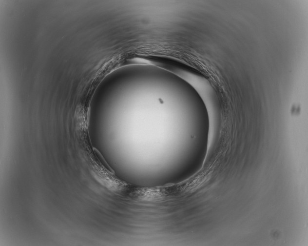 X0000096390384200801241308
