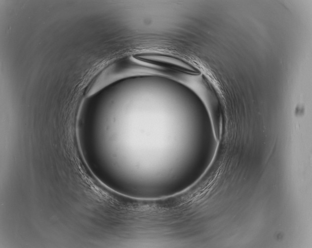 X0000096390385200801241307