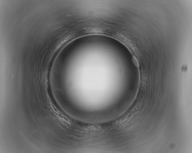 X0000096390386200801241307