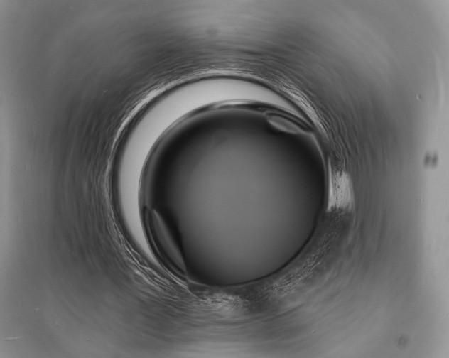 X0000096390387200801241307