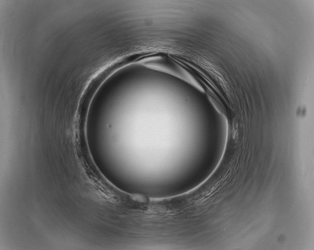 X0000096390388200801241307