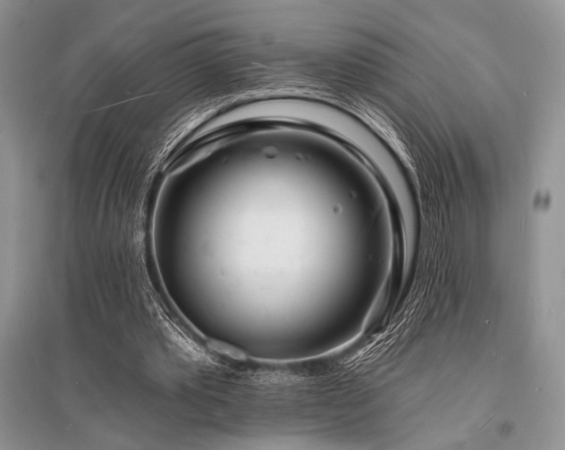 X0000096390389200801241307