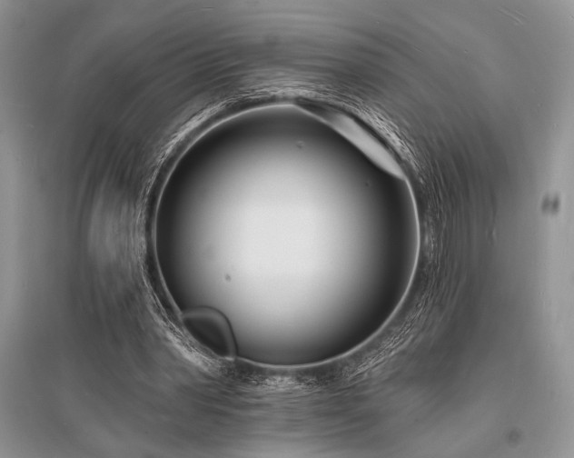 X0000096390390200801241307