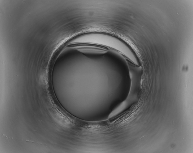X0000096390391200801241307
