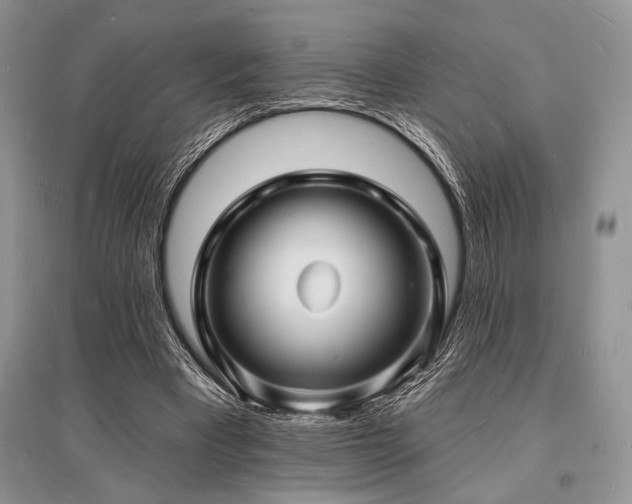 X0000096390393200801241307