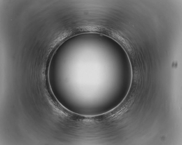 X0000096390394200801241307