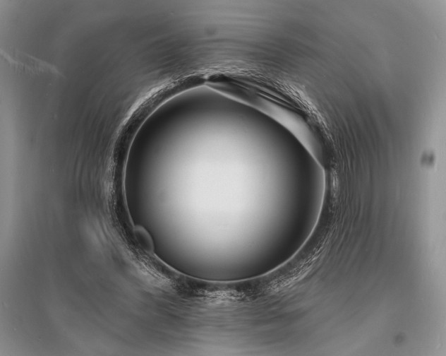 X0000096390396200801241307