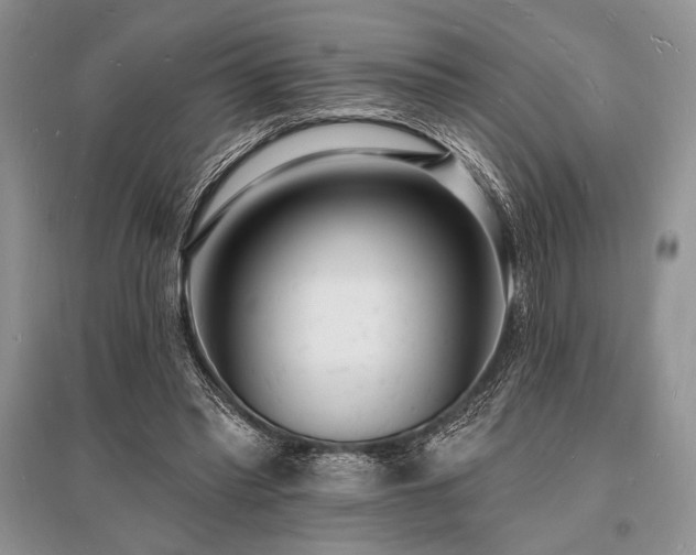 X0000096390397200801241307