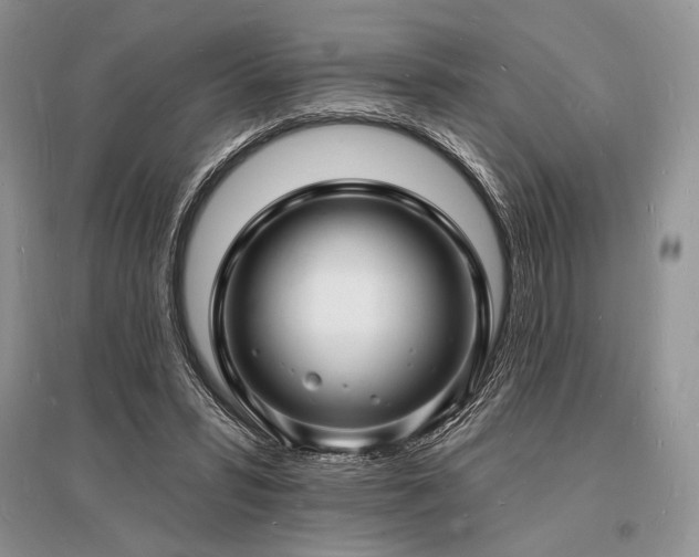 X0000096390399200801241307