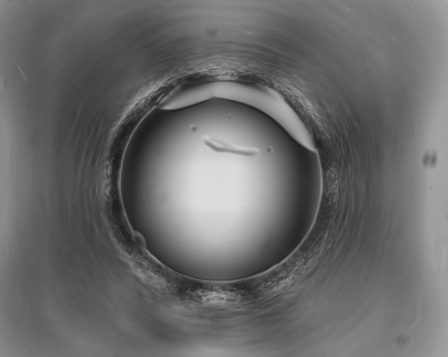 X0000096390400200801241307
