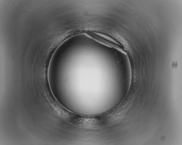 X0000096390401200801241307