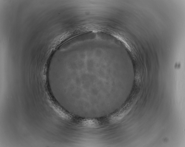 X0000096390402200801241307