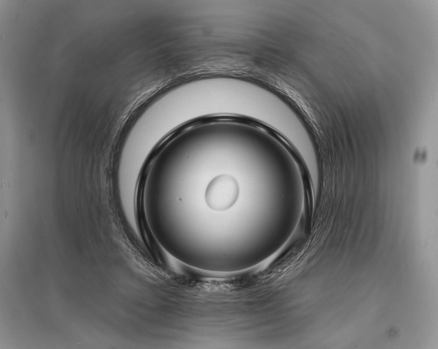 X0000096390403200801241307