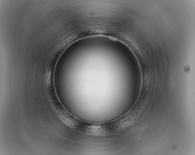 X0000096390406200801241307
