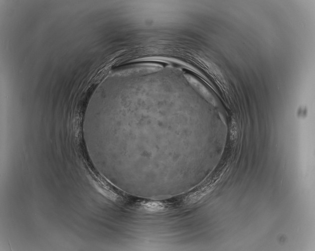 X0000096390409200801241307