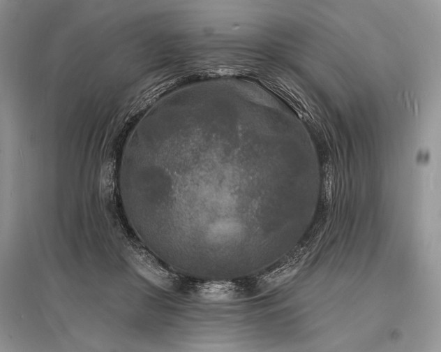 X0000096390410200801241307