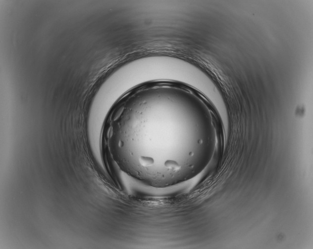 X0000096390411200801241307