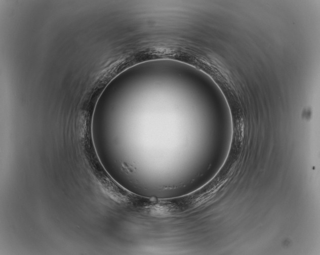 X0000096390412200801241307