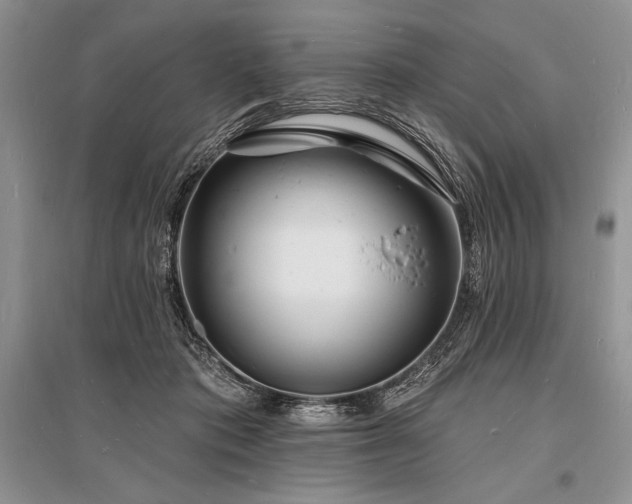 X0000096390413200801241307