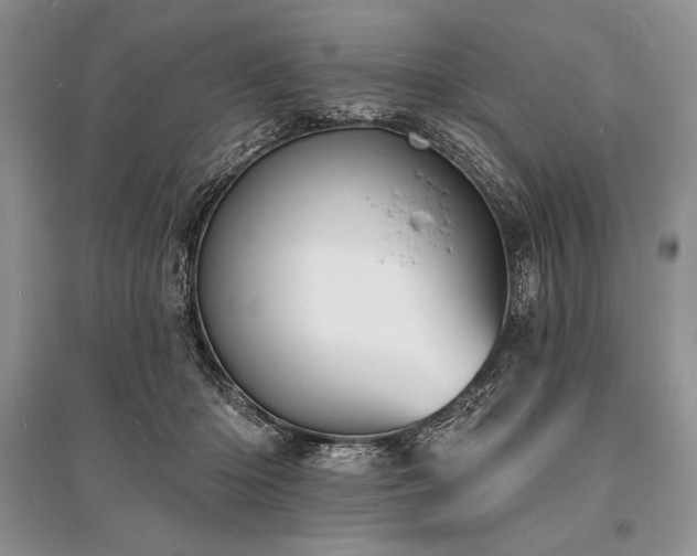 X0000096390414200801241307