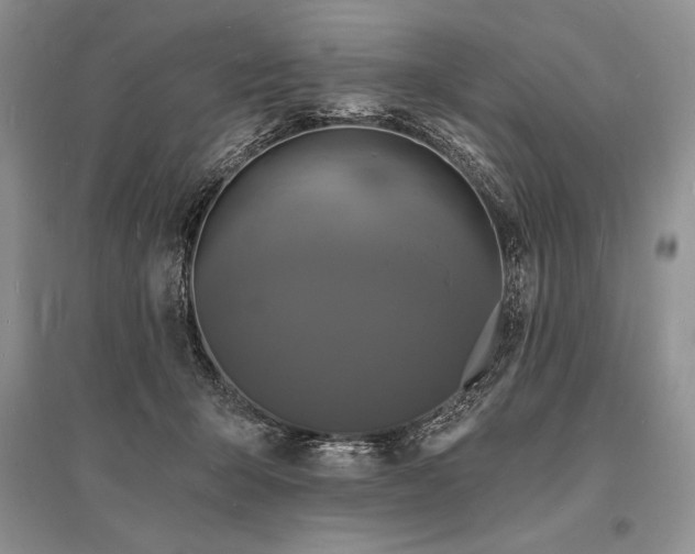 X0000096390415200801241307