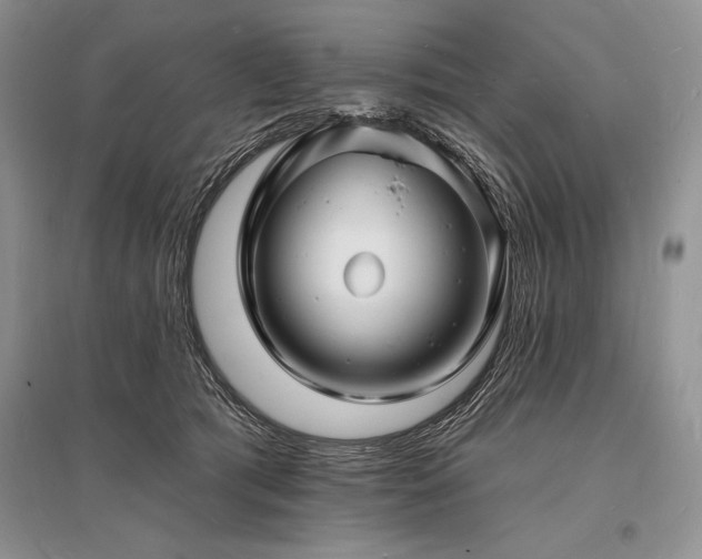 X0000096390417200801241307