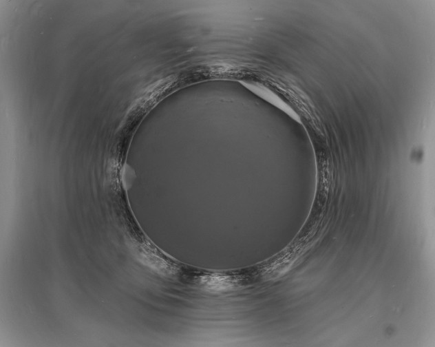 X0000096390419200801241307
