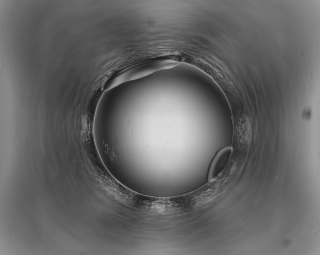 X0000096390420200801241307