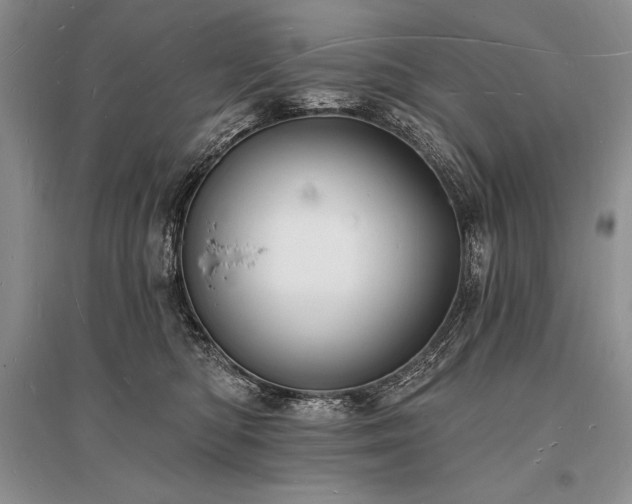 X0000096390422200801241307