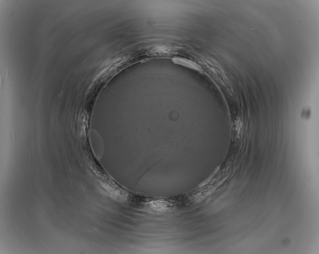 X0000096390423200801241307