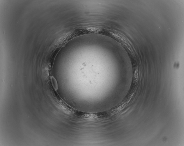 X0000096390424200801241307