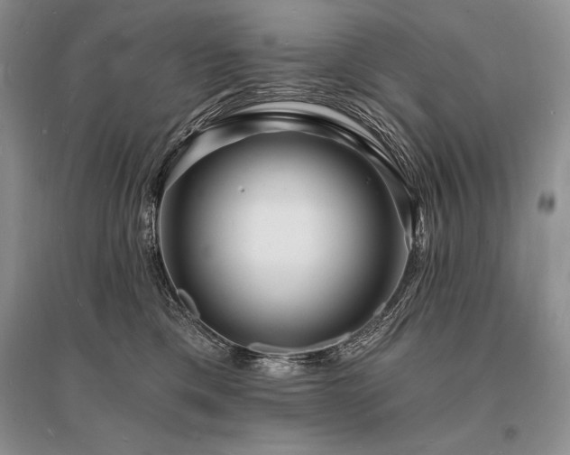 X0000096390425200801241307