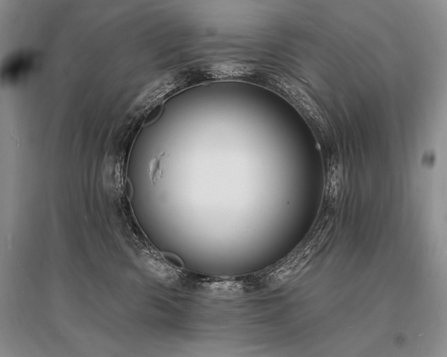 X0000096390426200801241307