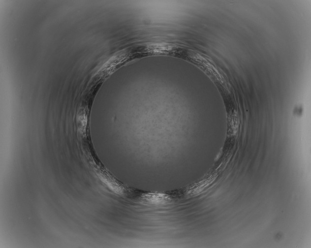 X0000096390427200801241307