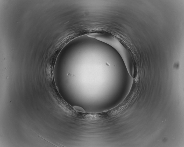 X0000096390428200801241306