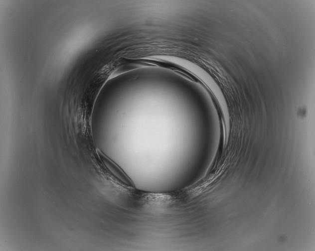 X0000096390429200801241306