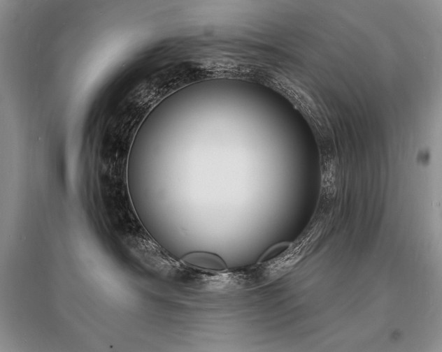 X0000096390430200801241306