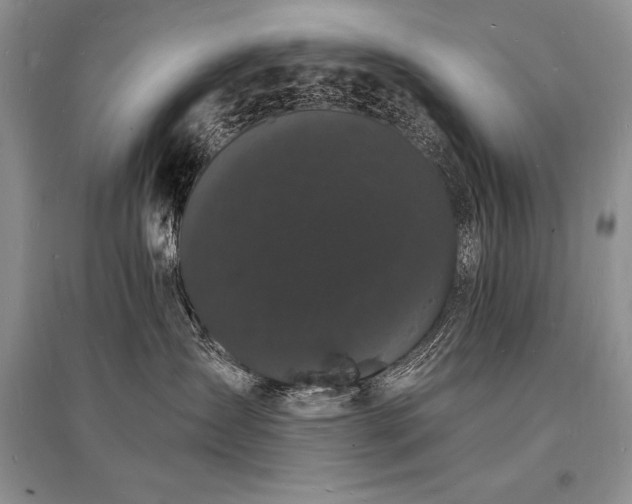 X0000096390431200801241306