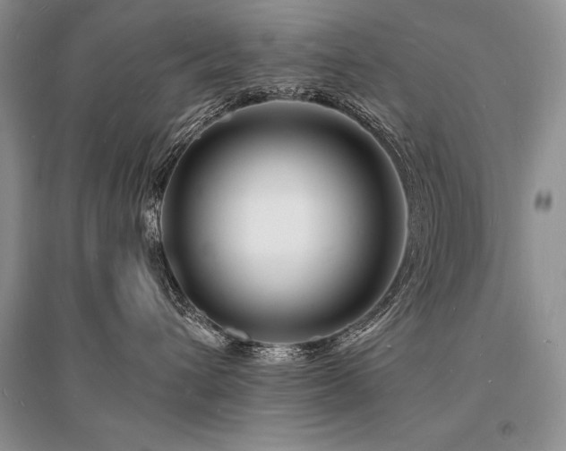 X0000096390432200801241306