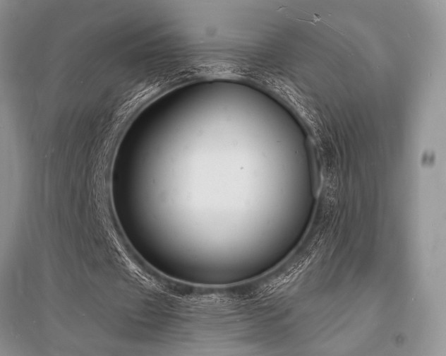X0000096390433200801241305