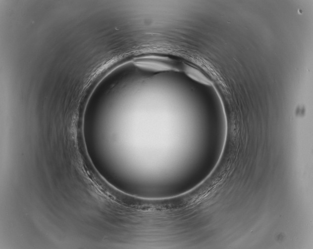 X0000096390434200801241306