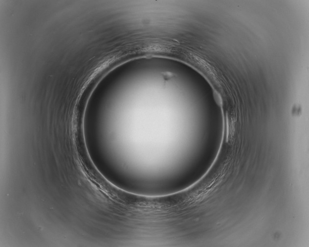 X0000096390435200801241306