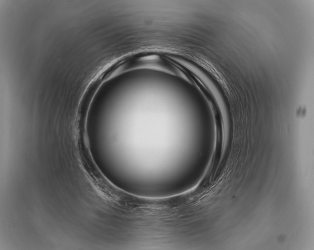 X0000096390436200801241306