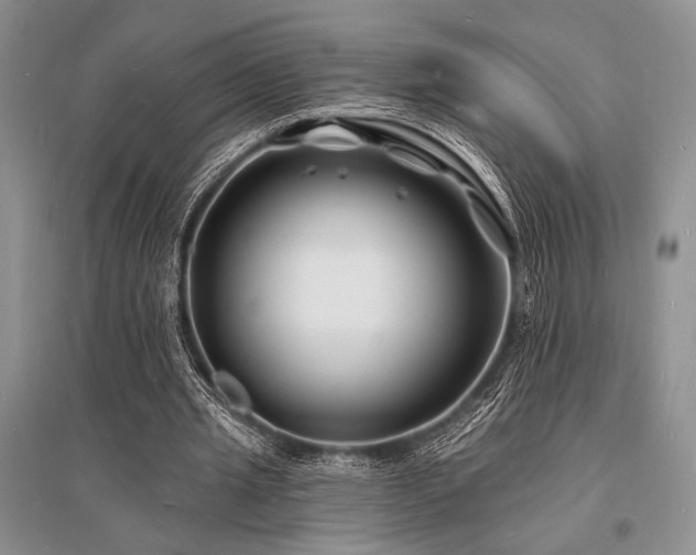 X0000096390437200801241306