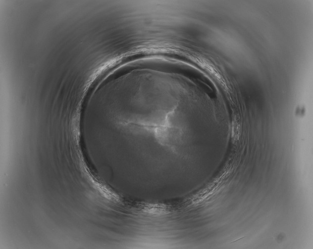 X0000096390438200801241306
