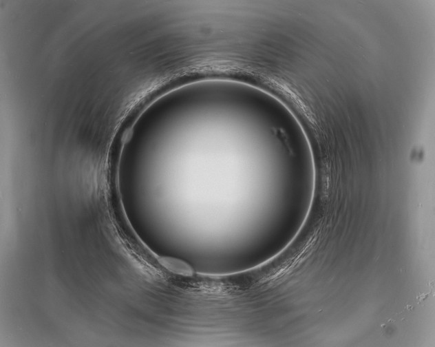 X0000096390439200801241306